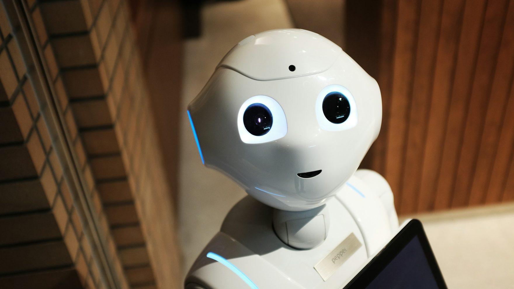 A service robot assisting at a counter